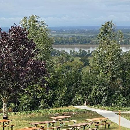 « Chez Nath Et Chris » Lejlighed Saint-André-de-Cubzac Eksteriør billede
